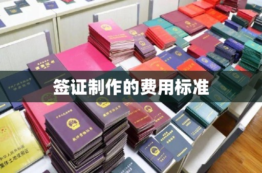 吴中签证制作的费用标准